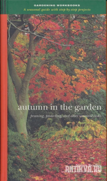 Autumn in the garden