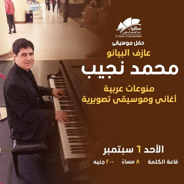 محمد نجيب